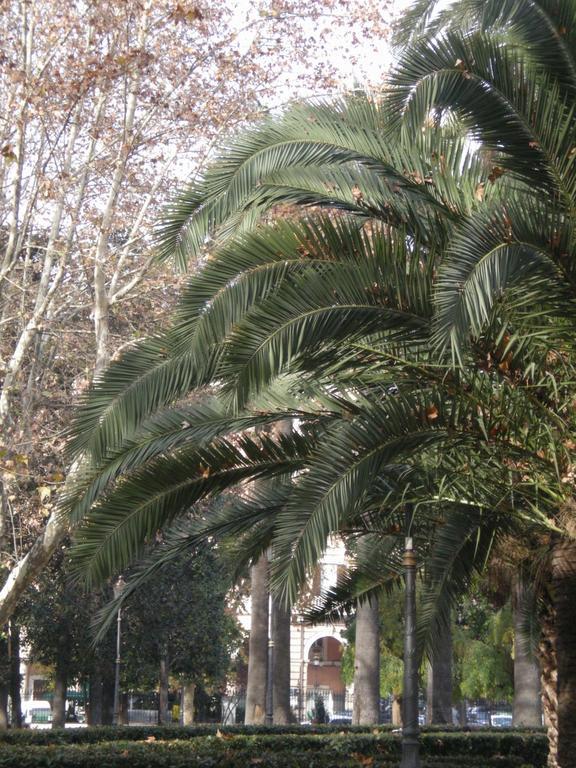 Le Sibille House Apartment Rome